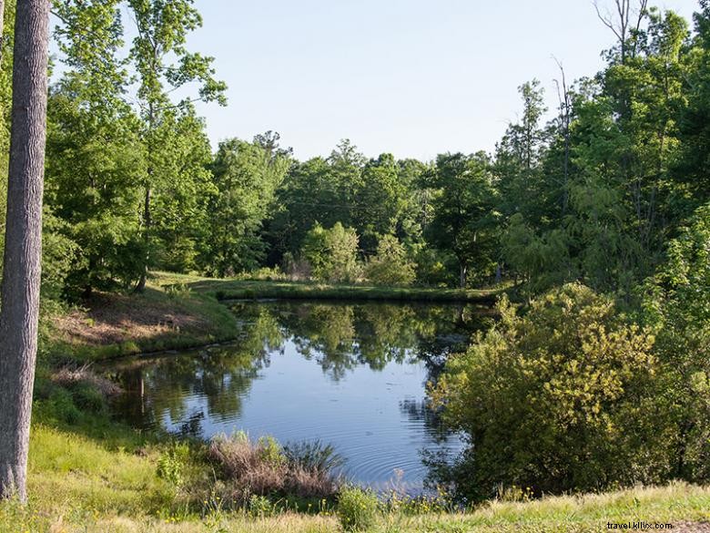 Parc de camping-cars Scenic Mountain et terrain de camping à Milledgeville