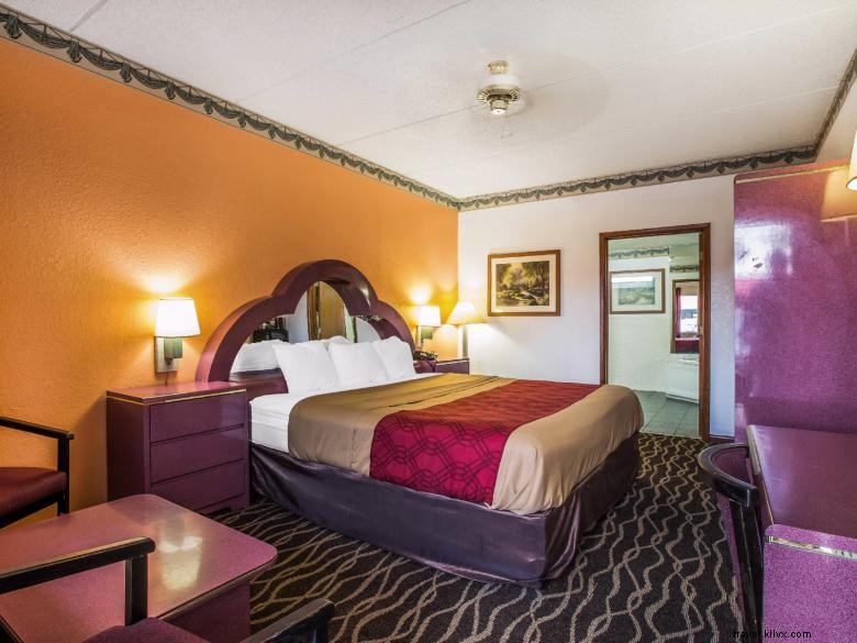 Econo Lodge Inn & Suites – Albany
