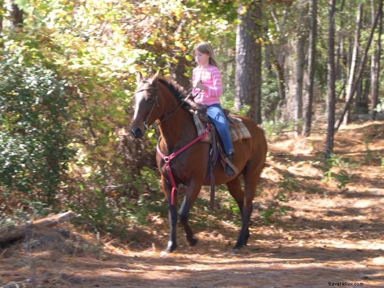 Aire de loisirs de Bussey Point – Camping et activités nature