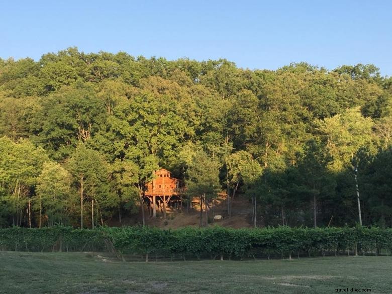 Treehouse Blue Ridge au vignoble Bear Claw