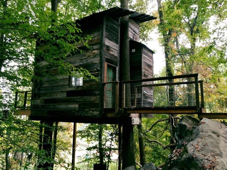 Cabanes perchées dans la canopée