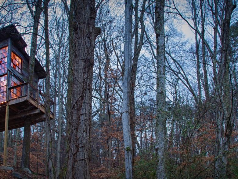 Cabanes perchées dans la canopée
