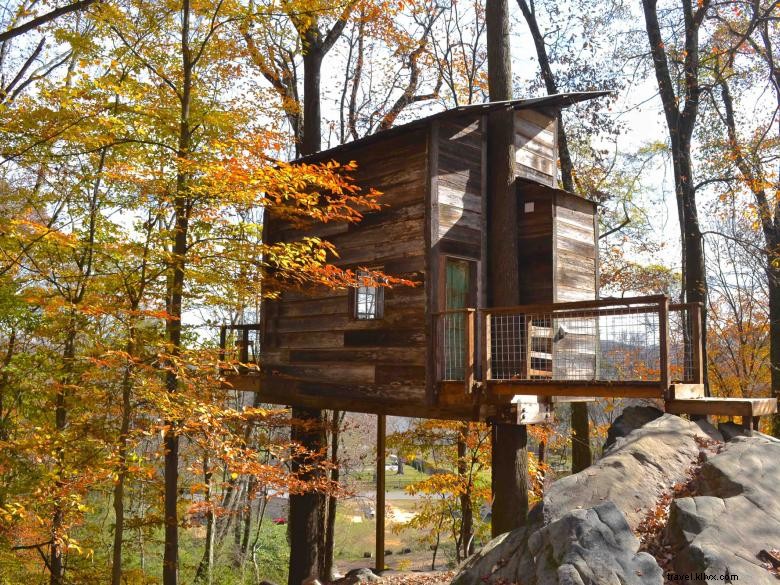 Cabanes perchées dans la canopée