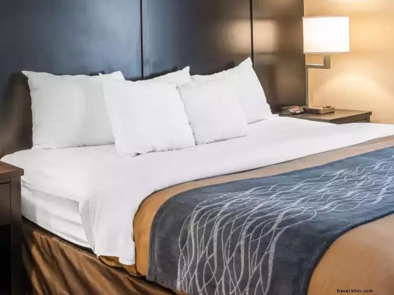 Comfort Inn & Suites – Quartier du stade de baseball