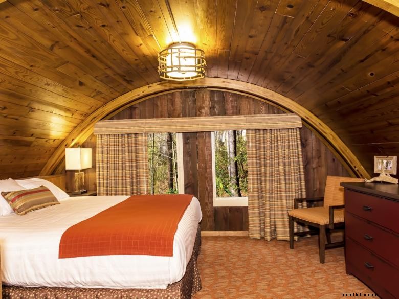 Parc d État Unicoi et Lodge