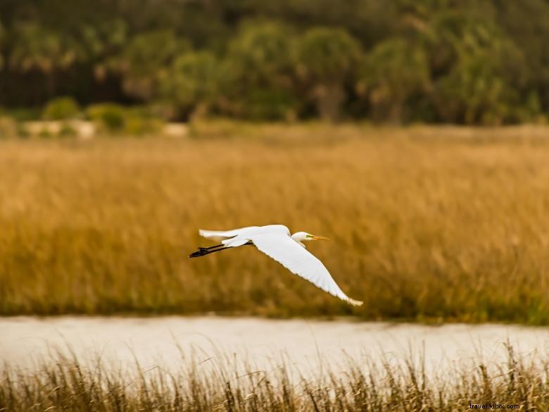 Le Lodge de Little St. Simons Island