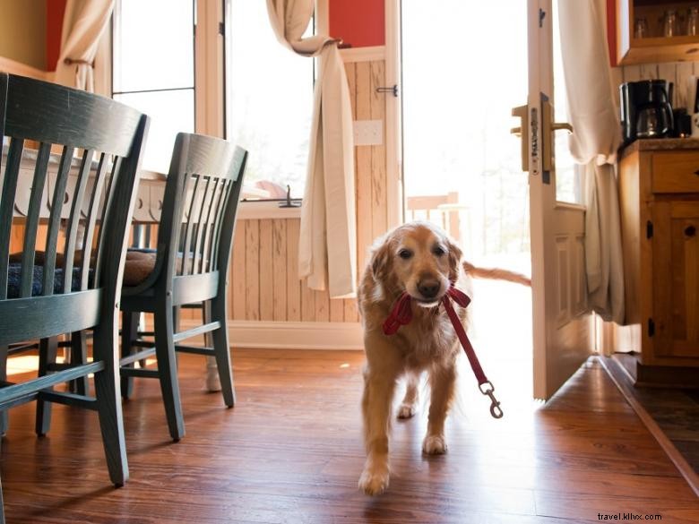 Lakehouses à Legacy – Cabanes familiales acceptant les animaux