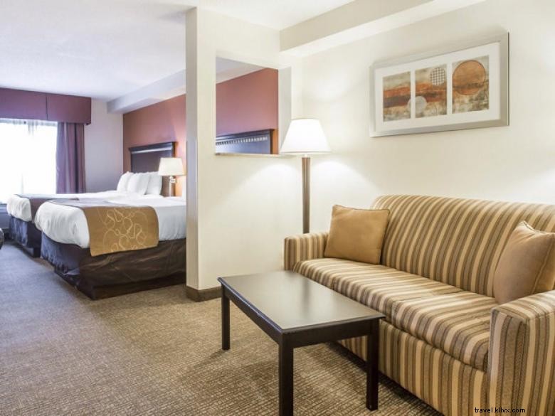 Comfort Suites Atlanta Aéroport