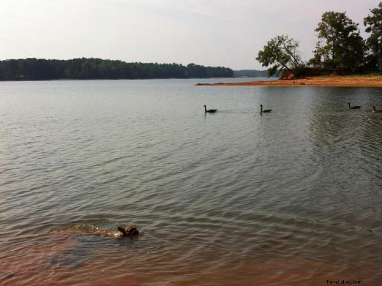 Camping Whitetail Ridge sur le lac West Point