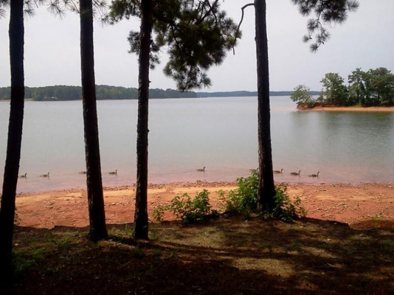 Camping Whitetail Ridge sur le lac West Point