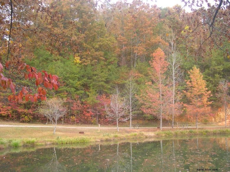 Camping du ruisseau Jenny