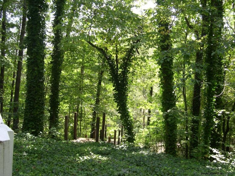 Camping du ruisseau Jenny