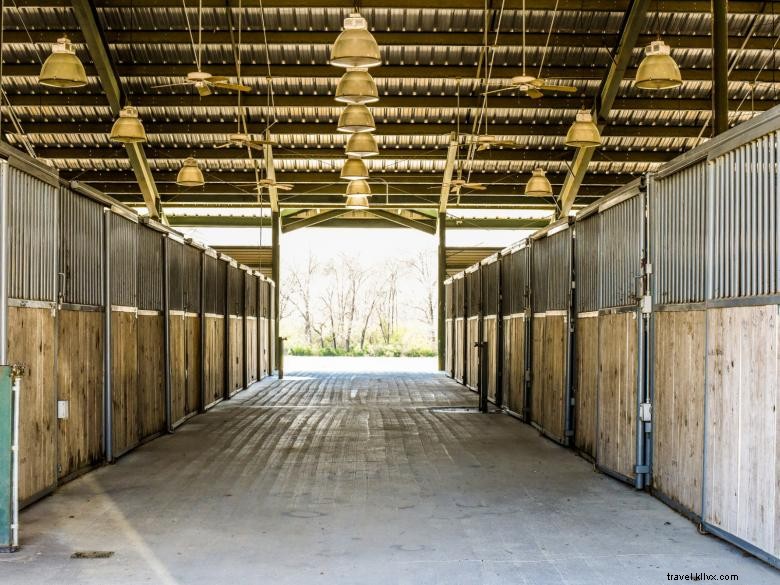 Parc équestre international de Géorgie – Un site olympique et de loisirs près d Atlanta