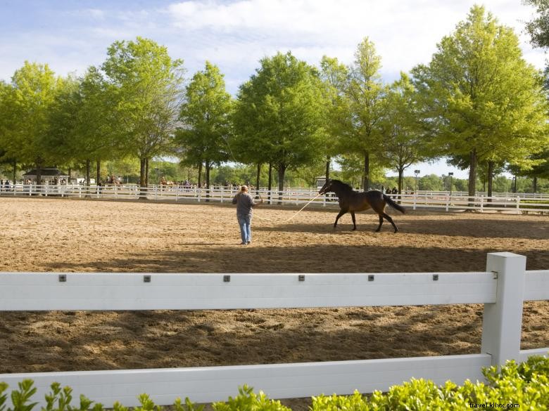 Parc équestre international de Géorgie – Un site olympique et de loisirs près d Atlanta