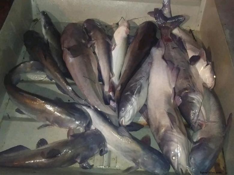 Écloserie, pêche et hébergement