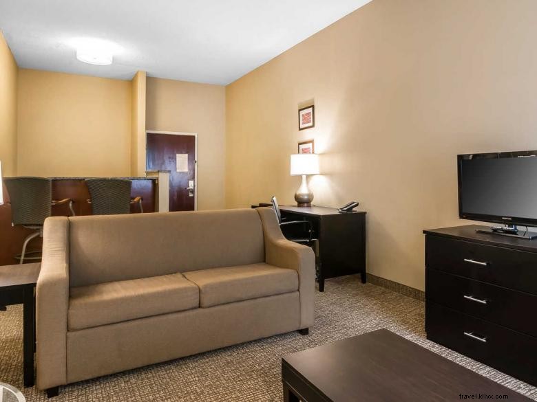 Comfort Inn & Suites Smyrne