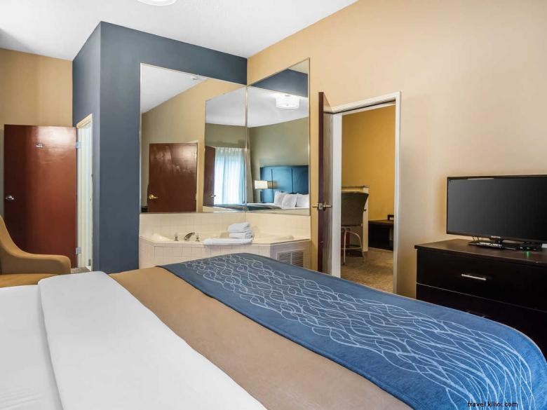 Comfort Inn & Suites Smyrne