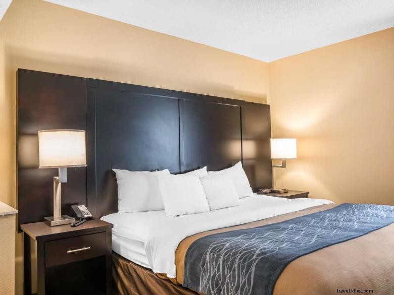 Comfort Inn & Suites Smyrne