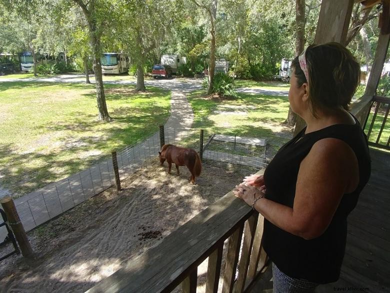 Parc de camping‑car et terrain de camping Country Oaks