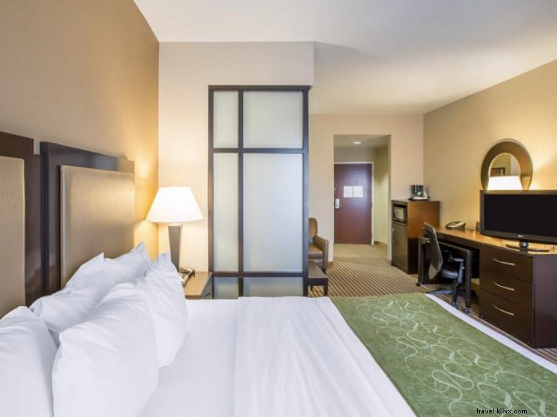 Comfort Suites – Zone Southpoint