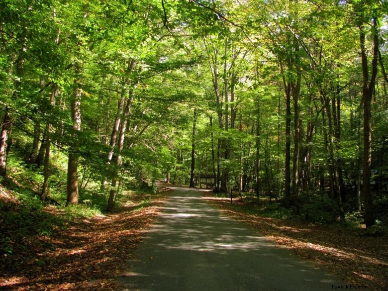 Camping de l Anse Andrews
