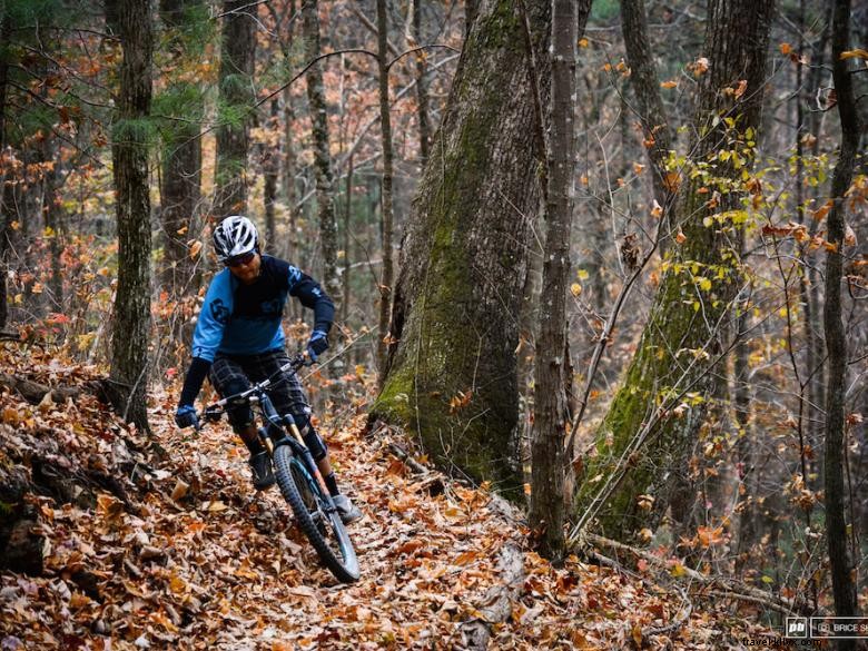 Mulberry Gap – Camp d’aventure en montagne
