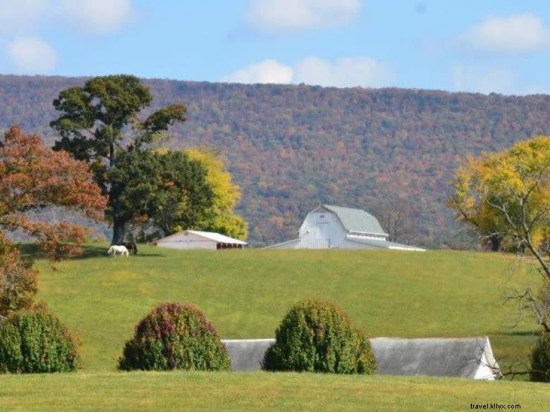Station de villégiature Mountain Cove Farms