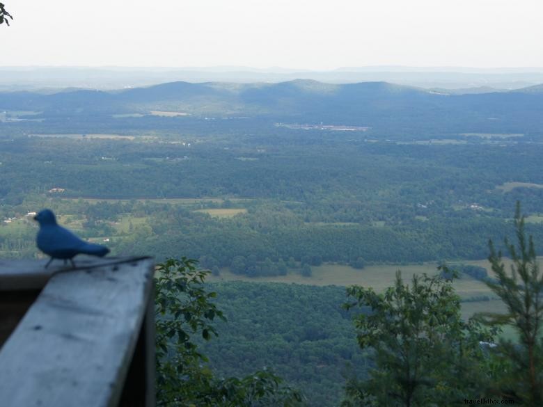 Cottage Buzzard s Roost – Location de vacances à Lookout Mountain