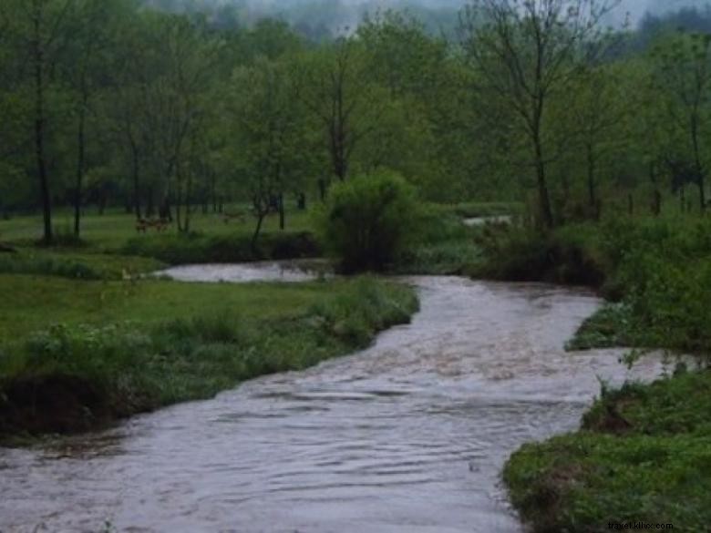 Camping des Appalaches – Votre refuge nature en Géorgie du Nord