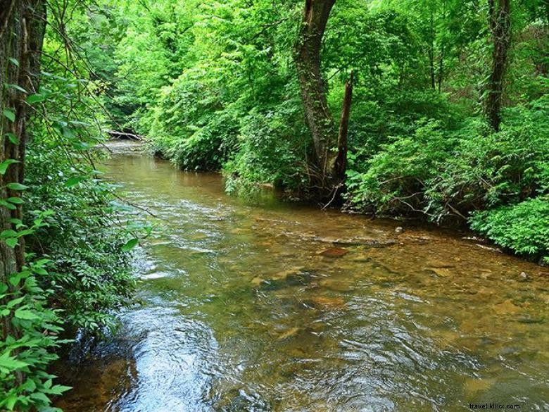 Parc d État Smithgall Woods – Un paradis de la truite en Géorgie