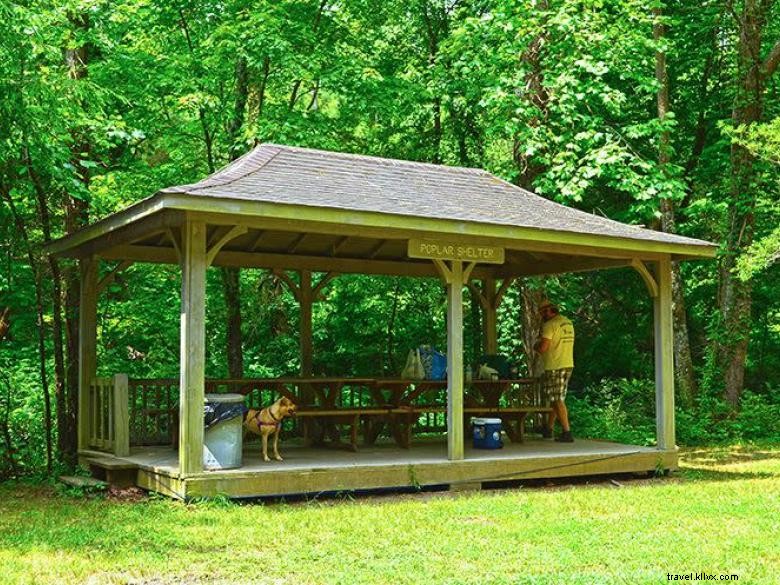 Parc d État Smithgall Woods – Un paradis de la truite en Géorgie
