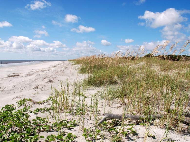 Manoir Reynolds, île de Sapelo