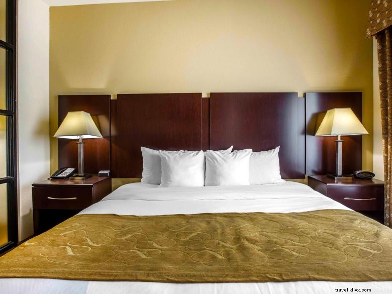 Comfort Suites Byron
