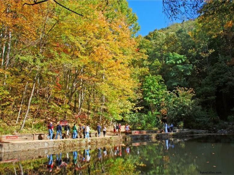 Parc d État Amicalola Falls et lodge