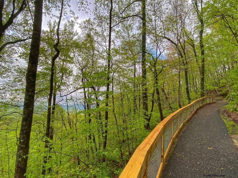 Parc d État Amicalola Falls et lodge