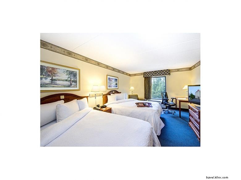 Hampton Inn & Suites Atlanta – Galleria