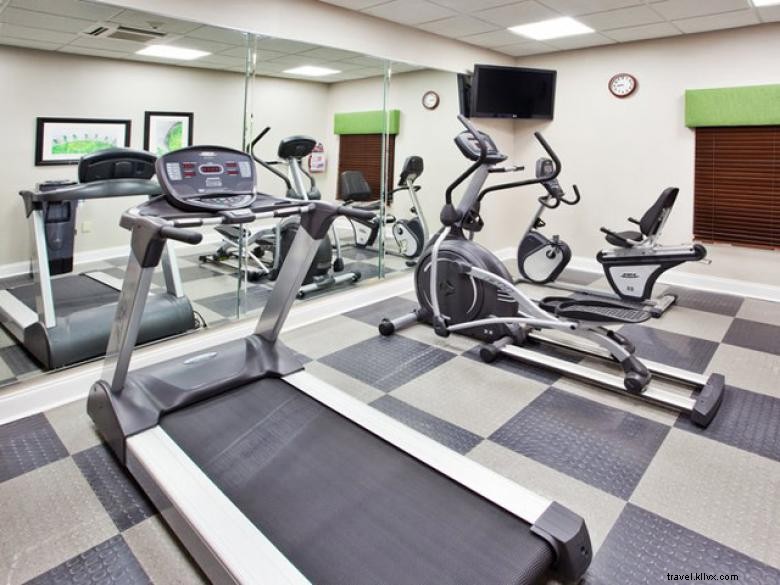 Holiday Inn Express Atlanta West – Zone du parc à thème