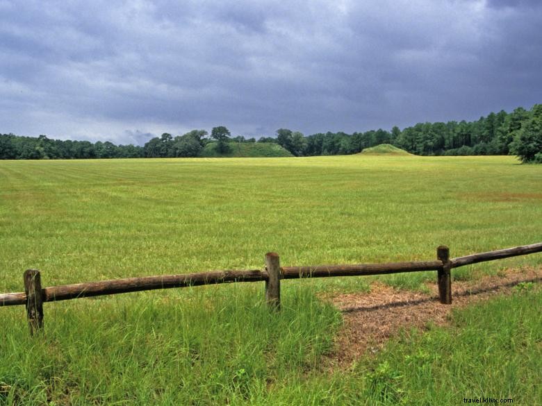 Parc historique d État des monticules de Kolomoki