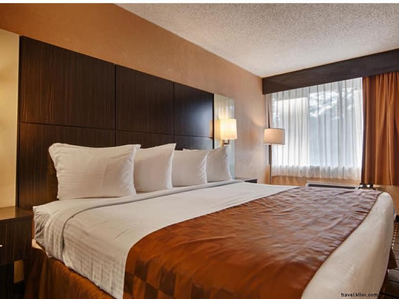 Best Western Executive Inn - Cairo