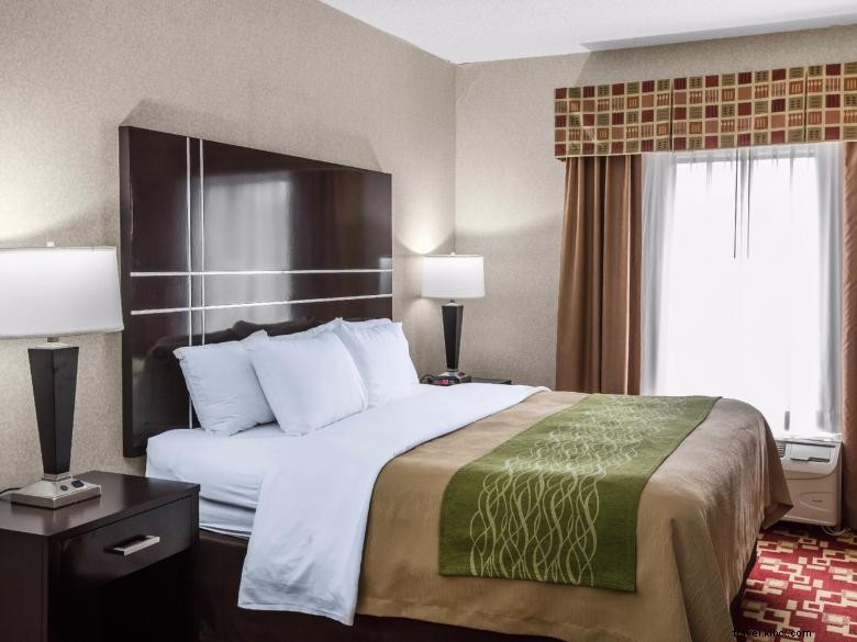 Comfort Inn & Suites Griffin
