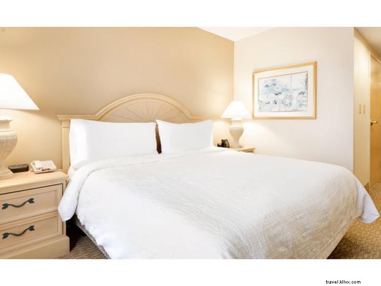Hilton Garden Inn Atlanta Northpoint – Alpharetta (GA)