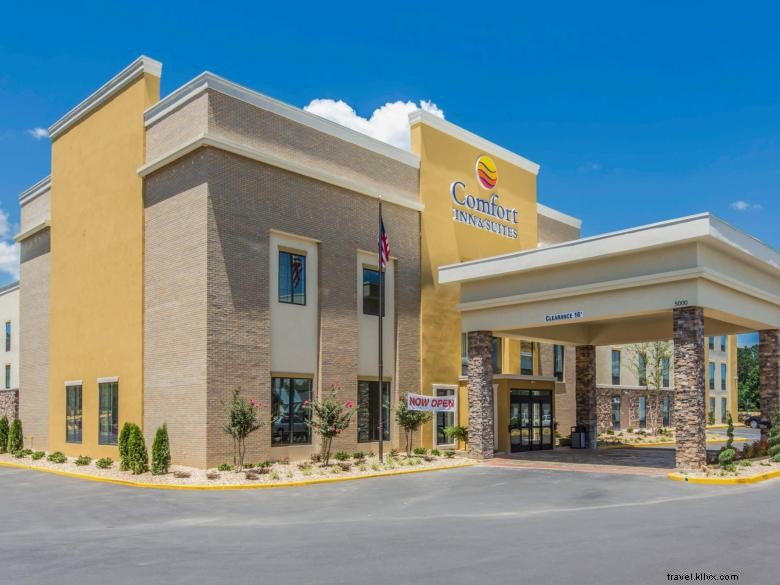 Comfort Inn & Suites Ouest Macon