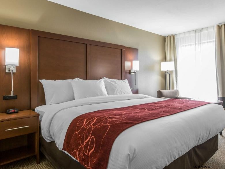 Comfort Inn & Suites Ouest Macon