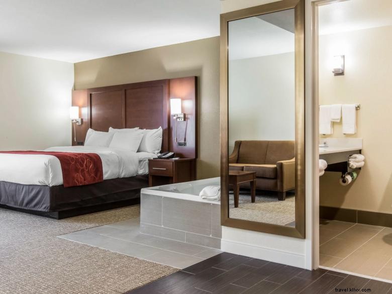 Comfort Inn & Suites Ouest Macon
