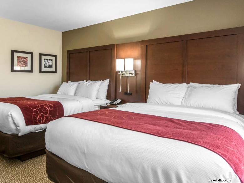 Comfort Inn & Suites Ouest Macon