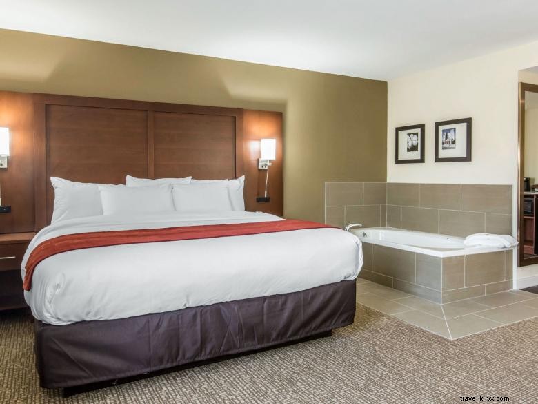 Comfort Inn & Suites Ouest Macon