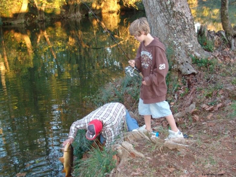 Cedar Creek – Centre de camping et d’activités de plein air