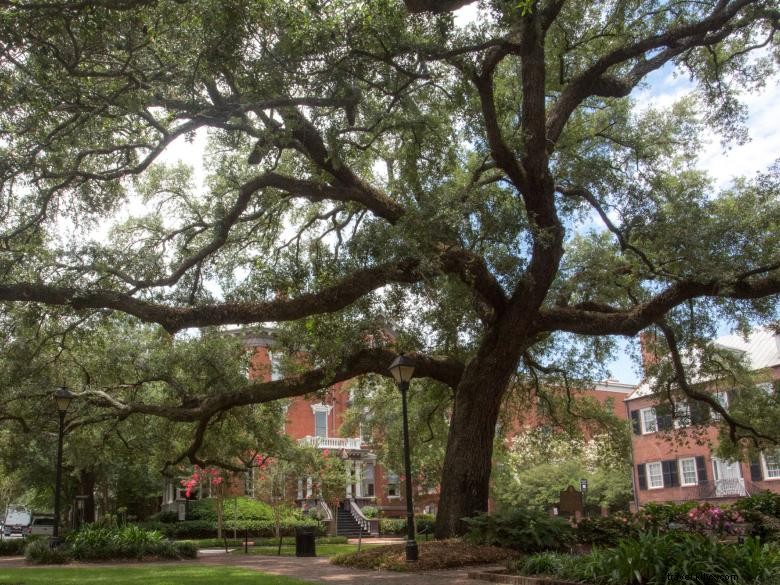 Auberges historiques de Savannah, Géorgie