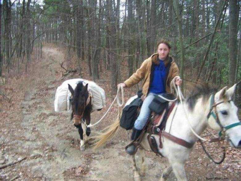 Ranch d Humberland – Hébergement et activités