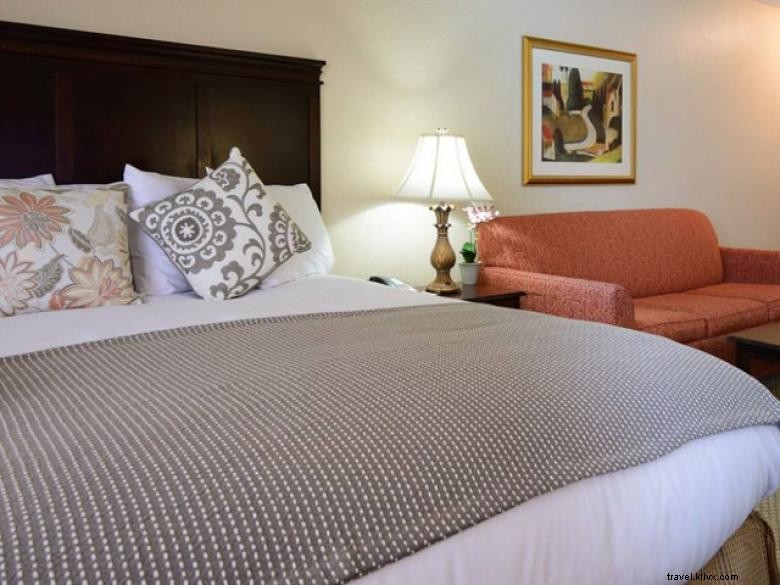 Hôtel Regency Suites – Midtown Atlanta